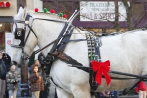 37th Annual Mayors Christmas Parade 2009\nPhotography by: Buckleman Photography\nall images ©2009 Buckleman Photography\nThe images displayed here are of low resolution;\nReprints available,  please contact us: \ngerard@bucklemanphotography.com\n410.608.7990\nbucklemanphotography.com\n3729.CR2