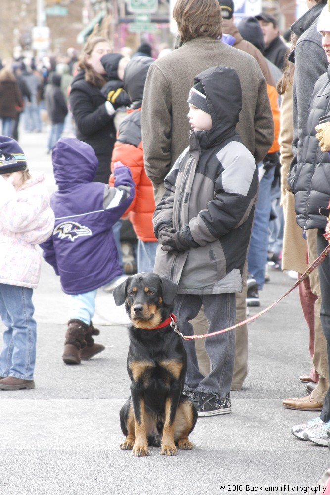 Mayors Christmas Parade 2010\nPhotography by: Buckleman Photography\nall images ©2010 Buckleman Photography\nThe images displayed here are of low resolution;\nReprints available, please contact us: \ngerard@bucklemanphotography.com\n410.608.7990\nbucklemanphotography.com\n1071.jpg