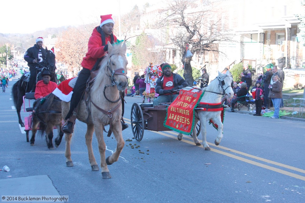 41st Annual Mayors Christmas Parade 2014 - Division 3\nPhotography by: Buckleman Photography\nall images ©2014 Buckleman Photography\nThe images displayed here are of low resolution;\nReprints available, please contact us:\ngerard@bucklemanphotography.com\n410.608.7990\nbucklemanphotography.com\nFile Number - 6961.jpg