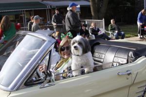 42nd Annual Mayors Christmas Parade Division 1 2015\nPhotography by: Buckleman Photography\nall images ©2015 Buckleman Photography\nThe images displayed here are of low resolution;\nReprints & Website usage available, please contact us: \ngerard@bucklemanphotography.com\n410.608.7990\nbucklemanphotography.com\n2655.jpg