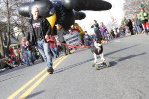 42nd Annual Mayors Christmas Parade Division 1 2015\nPhotography by: Buckleman Photography\nall images ©2015 Buckleman Photography\nThe images displayed here are of low resolution;\nReprints & Website usage available, please contact us: \ngerard@bucklemanphotography.com\n410.608.7990\nbucklemanphotography.com\n2682.jpg