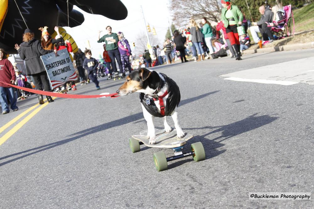 42nd Annual Mayors Christmas Parade Division 1 2015\nPhotography by: Buckleman Photography\nall images ©2015 Buckleman Photography\nThe images displayed here are of low resolution;\nReprints & Website usage available, please contact us: \ngerard@bucklemanphotography.com\n410.608.7990\nbucklemanphotography.com\n2684.jpg