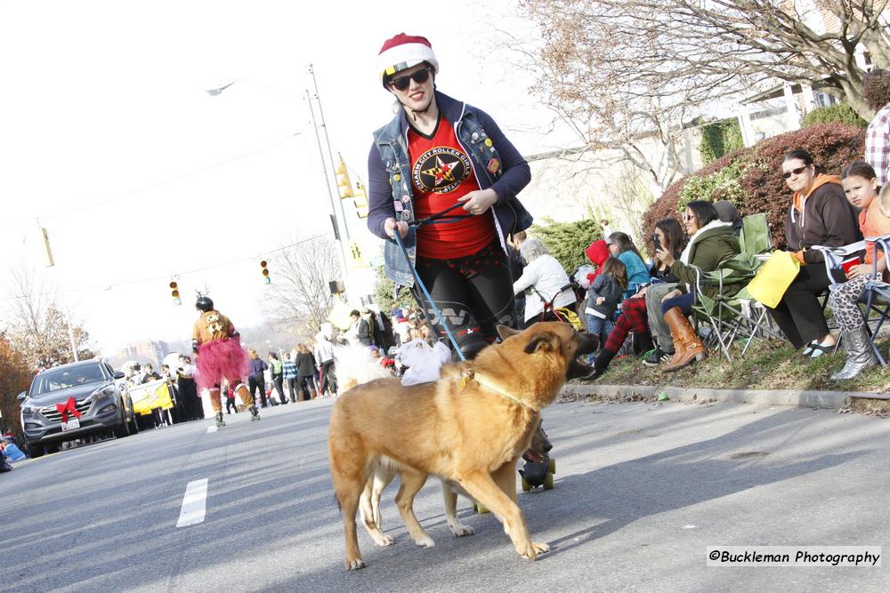 42nd Annual Mayors Christmas Parade Division 1 2015\nPhotography by: Buckleman Photography\nall images ©2015 Buckleman Photography\nThe images displayed here are of low resolution;\nReprints & Website usage available, please contact us: \ngerard@bucklemanphotography.com\n410.608.7990\nbucklemanphotography.com\n2788.jpg