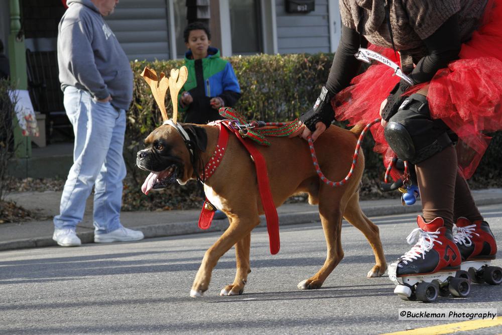 42nd Annual Mayors Christmas Parade Division 1 2015\nPhotography by: Buckleman Photography\nall images ©2015 Buckleman Photography\nThe images displayed here are of low resolution;\nReprints & Website usage available, please contact us: \ngerard@bucklemanphotography.com\n410.608.7990\nbucklemanphotography.com\n2790.jpg