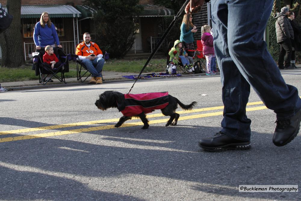 42nd Annual Mayors Christmas Parade Division 1 2015\nPhotography by: Buckleman Photography\nall images ©2015 Buckleman Photography\nThe images displayed here are of low resolution;\nReprints & Website usage available, please contact us: \ngerard@bucklemanphotography.com\n410.608.7990\nbucklemanphotography.com\n2831.jpg