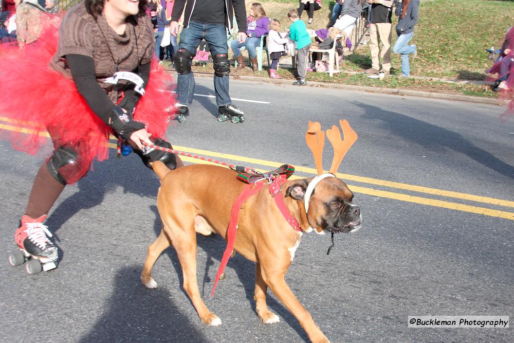 42nd Annual Mayors Christmas Parade Division 1 2015\nPhotography by: Buckleman Photography\nall images ©2015 Buckleman Photography\nThe images displayed here are of low resolution;\nReprints & Website usage available, please contact us: \ngerard@bucklemanphotography.com\n410.608.7990\nbucklemanphotography.com\n7655.jpg