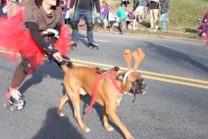 42nd Annual Mayors Christmas Parade Division 1 2015\nPhotography by: Buckleman Photography\nall images ©2015 Buckleman Photography\nThe images displayed here are of low resolution;\nReprints & Website usage available, please contact us: \ngerard@bucklemanphotography.com\n410.608.7990\nbucklemanphotography.com\n7655.jpg