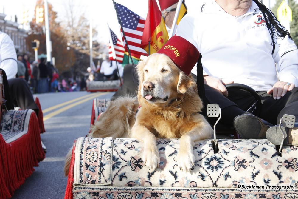 42nd Annual Mayors Christmas Parade Division 1a 2015\nPhotography by: Buckleman Photography\nall images ©2015 Buckleman Photography\nThe images displayed here are of low resolution;\nReprints & Website usage available, please contact us: \ngerard@bucklemanphotography.com\n410.608.7990\nbucklemanphotography.com\n2885.jpg