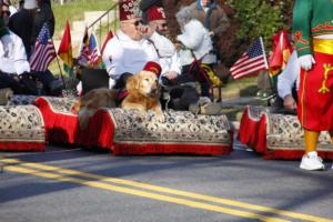 42nd Annual Mayors Christmas Parade Division 1a 2015\nPhotography by: Buckleman Photography\nall images ©2015 Buckleman Photography\nThe images displayed here are of low resolution;\nReprints & Website usage available, please contact us: \ngerard@bucklemanphotography.com\n410.608.7990\nbucklemanphotography.com\n7749.jpg