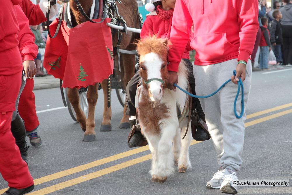 42nd Annual Mayors Christmas Parade Division 2 2015\nPhotography by: Buckleman Photography\nall images ©2015 Buckleman Photography\nThe images displayed here are of low resolution;\nReprints & Website usage available, please contact us: \ngerard@bucklemanphotography.com\n410.608.7990\nbucklemanphotography.com\n3054.jpg