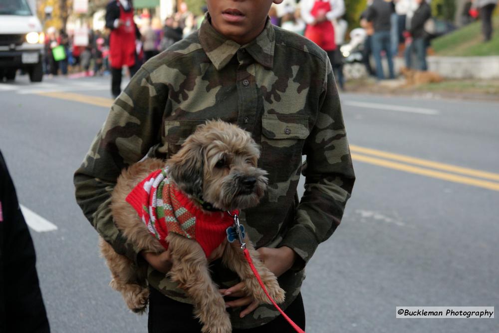 42nd Annual Mayors Christmas Parade Division 3 2015\nPhotography by: Buckleman Photography\nall images ©2015 Buckleman Photography\nThe images displayed here are of low resolution;\nReprints & Website usage available, please contact us: \ngerard@bucklemanphotography.com\n410.608.7990\nbucklemanphotography.com\n8060.jpg