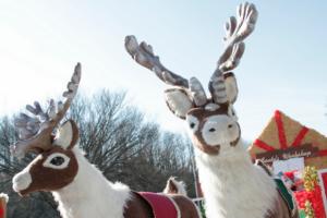 42nd Annual Mayors Christmas Parade Preparade 2015\nPhotography by: Buckleman Photography\nall images ©2015 Buckleman Photography\nThe images displayed here are of low resolution;\nReprints & Website usage available, please contact us: \ngerard@bucklemanphotography.com\n410.608.7990\nbucklemanphotography.com\n2377.jpg