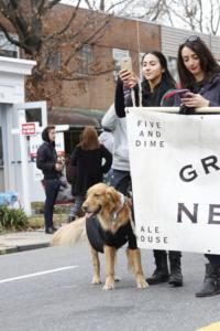 44th Annual Mayors Christmas Parade 2016\nPhotography by: Buckleman Photography\nall images ©2016 Buckleman Photography\nThe images displayed here are of low resolution;\nReprints available, please contact us: \ngerard@bucklemanphotography.com\n410.608.7990\nbucklemanphotography.com\n_MG_6639.CR2