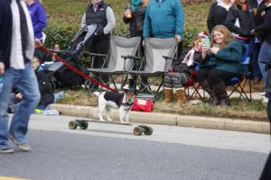 44th Annual Mayors Christmas Parade 2016\nPhotography by: Buckleman Photography\nall images ©2016 Buckleman Photography\nThe images displayed here are of low resolution;\nReprints available, please contact us: \ngerard@bucklemanphotography.com\n410.608.7990\nbucklemanphotography.com\n_MG_8696.CR2