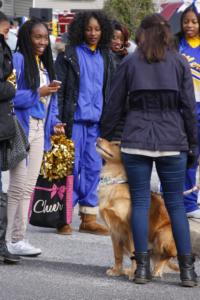 44th Annual Mayors Christmas Parade 2016\nPhotography by: Buckleman Photography\nall images ©2016 Buckleman Photography\nThe images displayed here are of low resolution;\nReprints available, please contact us: \ngerard@bucklemanphotography.com\n410.608.7990\nbucklemanphotography.com\n_MG_8496.CR2