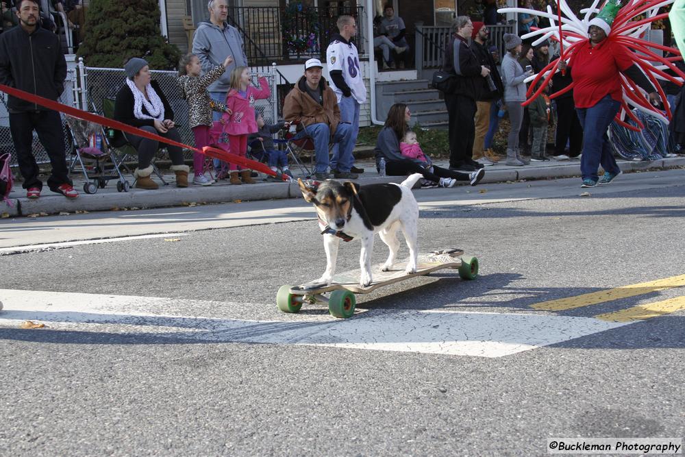 45th Annual Mayors Christmas Parade 2017\nPhotography by: Buckleman Photography\nall images ©2017 Buckleman Photography\nThe images displayed here are of low resolution;\nReprints available, please contact us: \ngerard@bucklemanphotography.com\n410.608.7990\nbucklemanphotography.com\n8498.CR2