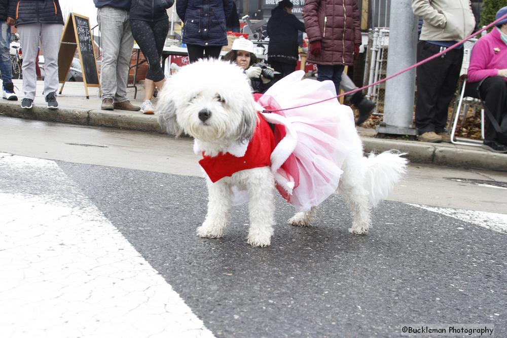 46th Annual Mayors Christmas Parade 2018\nPhotography by: Buckleman Photography\nall images ©2018 Buckleman Photography\nThe images displayed here are of low resolution;\nReprints available, please contact us:\ngerard@bucklemanphotography.com\n410.608.7990\nbucklemanphotography.com\n0083a.CR2