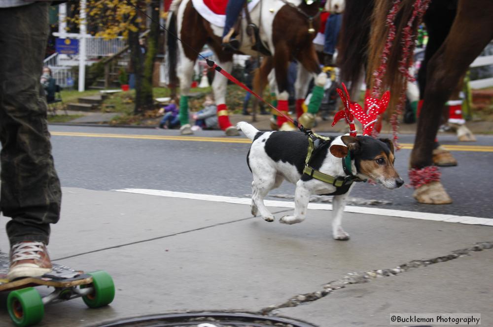 46th Annual Mayors Christmas Parade 2018\nPhotography by: Buckleman Photography\nall images ©2018 Buckleman Photography\nThe images displayed here are of low resolution;\nReprints available, please contact us:\ngerard@bucklemanphotography.com\n410.608.7990\nbucklemanphotography.com\n9904.CR2