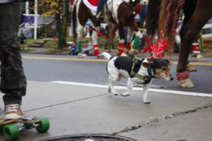 46th Annual Mayors Christmas Parade 2018\nPhotography by: Buckleman Photography\nall images ©2018 Buckleman Photography\nThe images displayed here are of low resolution;\nReprints available, please contact us:\ngerard@bucklemanphotography.com\n410.608.7990\nbucklemanphotography.com\n9904.CR2