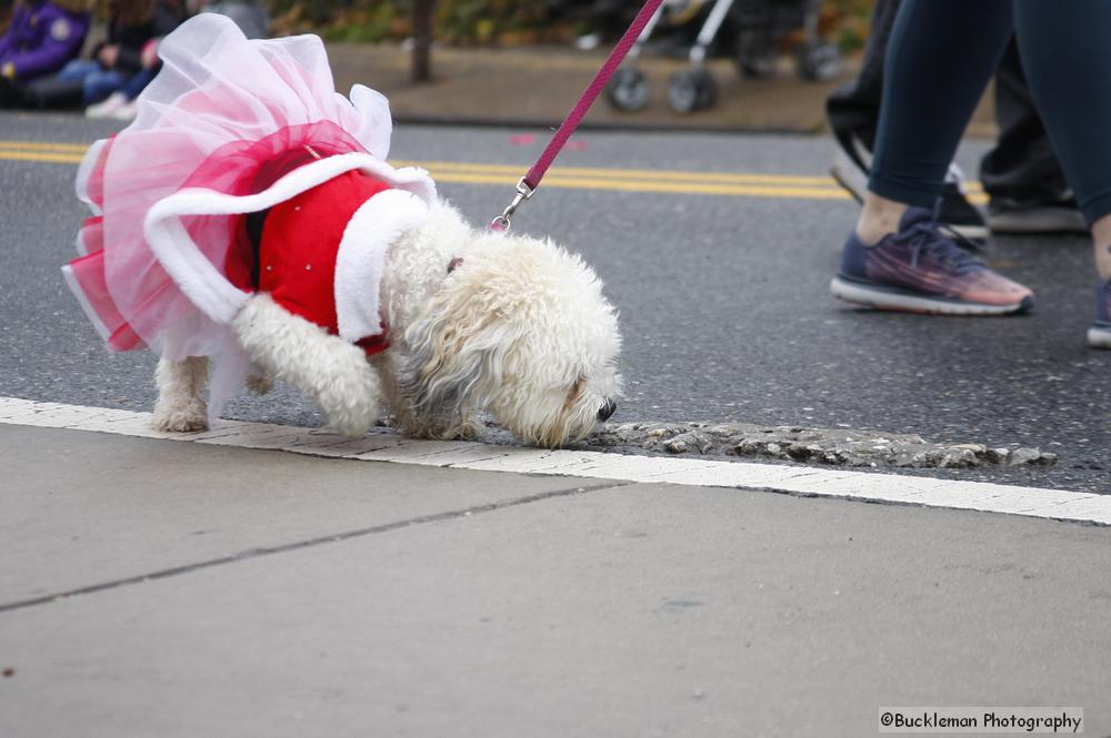 46th Annual Mayors Christmas Parade 2018\nPhotography by: Buckleman Photography\nall images ©2018 Buckleman Photography\nThe images displayed here are of low resolution;\nReprints available, please contact us:\ngerard@bucklemanphotography.com\n410.608.7990\nbucklemanphotography.com\n9918.CR2