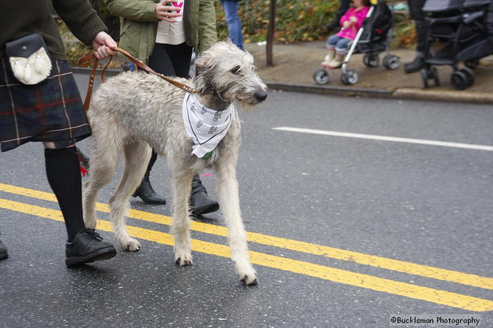 46th Annual Mayors Christmas Parade 2018\nPhotography by: Buckleman Photography\nall images ©2018 Buckleman Photography\nThe images displayed here are of low resolution;\nReprints available, please contact us:\ngerard@bucklemanphotography.com\n410.608.7990\nbucklemanphotography.com\n_MG_0018.CR2