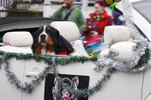 46th Annual Mayors Christmas Parade 2018\nPhotography by: Buckleman Photography\nall images ©2018 Buckleman Photography\nThe images displayed here are of low resolution;\nReprints available, please contact us:\ngerard@bucklemanphotography.com\n410.608.7990\nbucklemanphotography.com\n0225.CR2