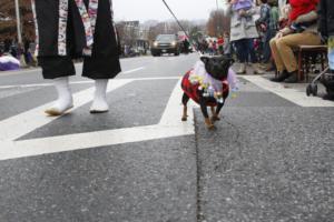 46th Annual Mayors Christmas Parade 2018\nPhotography by: Buckleman Photography\nall images ©2018 Buckleman Photography\nThe images displayed here are of low resolution;\nReprints available, please contact us:\ngerard@bucklemanphotography.com\n410.608.7990\nbucklemanphotography.com\n0668.CR2