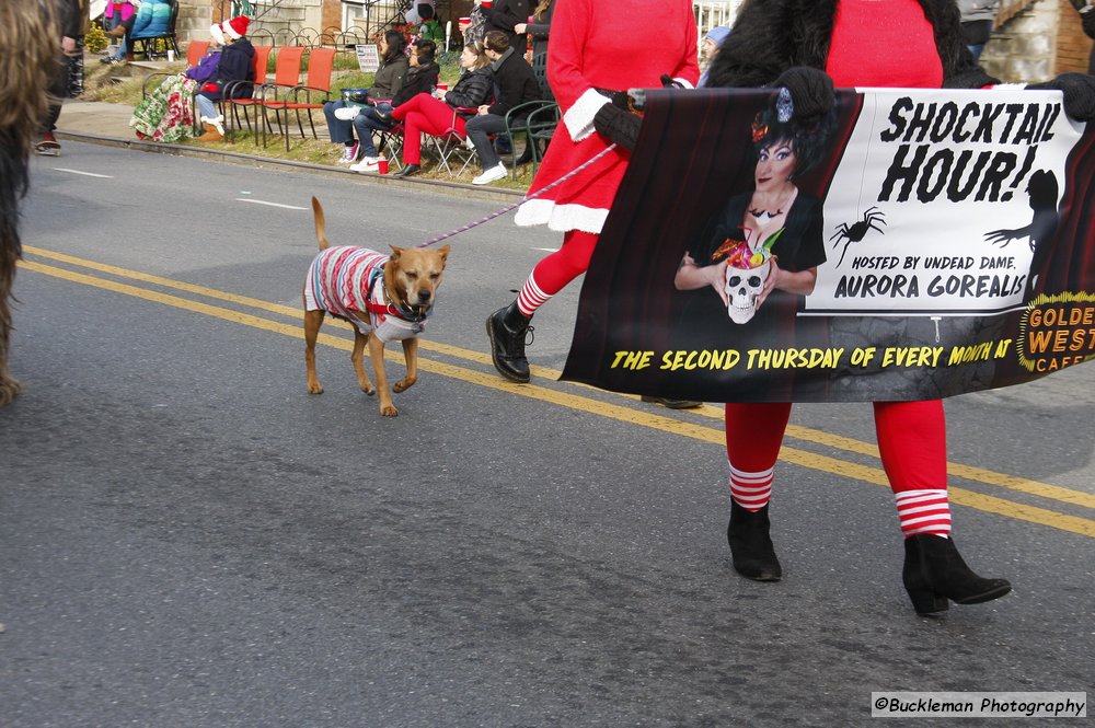 47th Annual Mayors Christmas Parade 2019\nPhotography by: Buckleman Photography\nall images ©2019 Buckleman Photography\nThe images displayed here are of low resolution;\nReprints available, please contact us:\ngerard@bucklemanphotography.com\n410.608.7990\nbucklemanphotography.com\n0821.CR2
