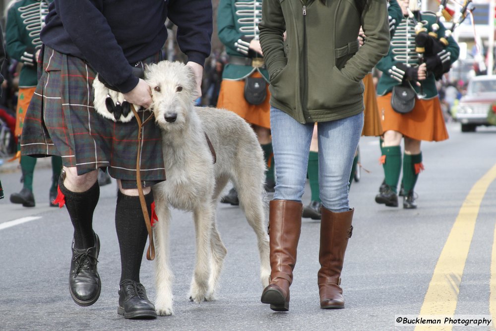 47th Annual Mayors Christmas Parade 2019\nPhotography by: Buckleman Photography\nall images ©2019 Buckleman Photography\nThe images displayed here are of low resolution;\nReprints available, please contact us:\ngerard@bucklemanphotography.com\n410.608.7990\nbucklemanphotography.com\n3797.CR2