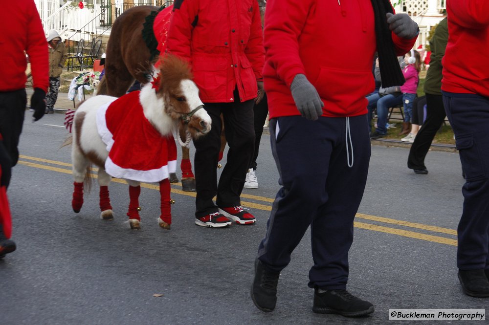 47th Annual Mayors Christmas Parade 2019\nPhotography by: Buckleman Photography\nall images ©2019 Buckleman Photography\nThe images displayed here are of low resolution;\nReprints available, please contact us:\ngerard@bucklemanphotography.com\n410.608.7990\nbucklemanphotography.com\n1239.CR2