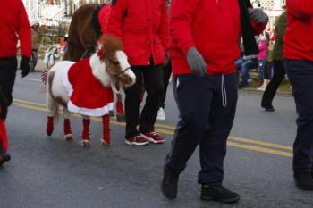 47th Annual Mayors Christmas Parade 2019\nPhotography by: Buckleman Photography\nall images ©2019 Buckleman Photography\nThe images displayed here are of low resolution;\nReprints available, please contact us:\ngerard@bucklemanphotography.com\n410.608.7990\nbucklemanphotography.com\n1239.CR2