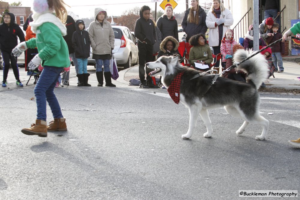 47th Annual Mayors Christmas Parade 2019\nPhotography by: Buckleman Photography\nall images ©2019 Buckleman Photography\nThe images displayed here are of low resolution;\nReprints available, please contact us:\ngerard@bucklemanphotography.com\n410.608.7990\nbucklemanphotography.com\n4162.CR2