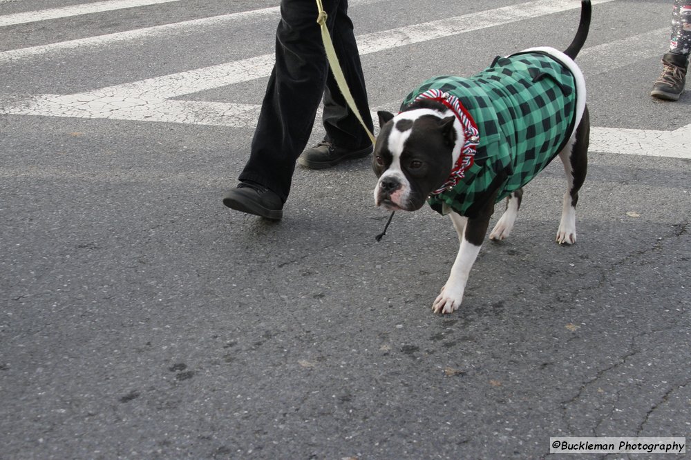 47th Annual Mayors Christmas Parade 2019\nPhotography by: Buckleman Photography\nall images ©2019 Buckleman Photography\nThe images displayed here are of low resolution;\nReprints available, please contact us:\ngerard@bucklemanphotography.com\n410.608.7990\nbucklemanphotography.com\n4172.CR2