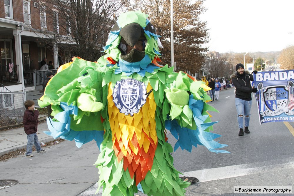 47th Annual Mayors Christmas Parade 2019\nPhotography by: Buckleman Photography\nall images ©2019 Buckleman Photography\nThe images displayed here are of low resolution;\nReprints available, please contact us:\ngerard@bucklemanphotography.com\n410.608.7990\nbucklemanphotography.com\n4280.CR2