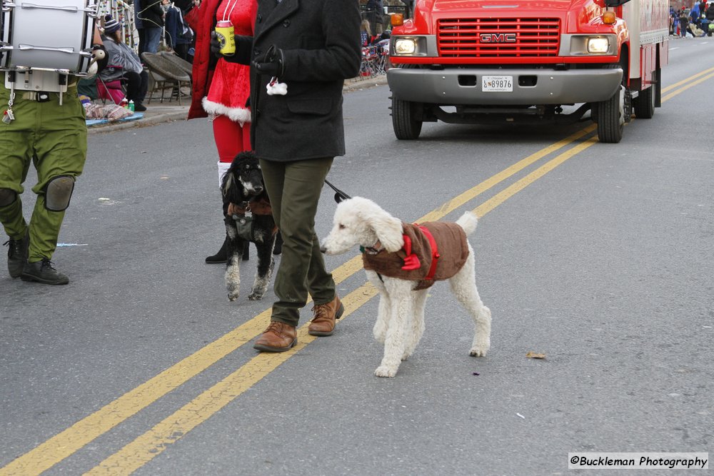 47th Annual Mayors Christmas Parade 2019\nPhotography by: Buckleman Photography\nall images ©2019 Buckleman Photography\nThe images displayed here are of low resolution;\nReprints available, please contact us:\ngerard@bucklemanphotography.com\n410.608.7990\nbucklemanphotography.com\n4355.CR2