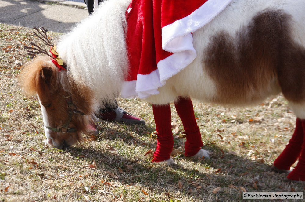 47th Annual Mayors Christmas Parade 2019\nPhotography by: Buckleman Photography\nall images ©2019 Buckleman Photography\nThe images displayed here are of low resolution;\nReprints available, please contact us:\ngerard@bucklemanphotography.com\n410.608.7990\nbucklemanphotography.com\n0481.CR2