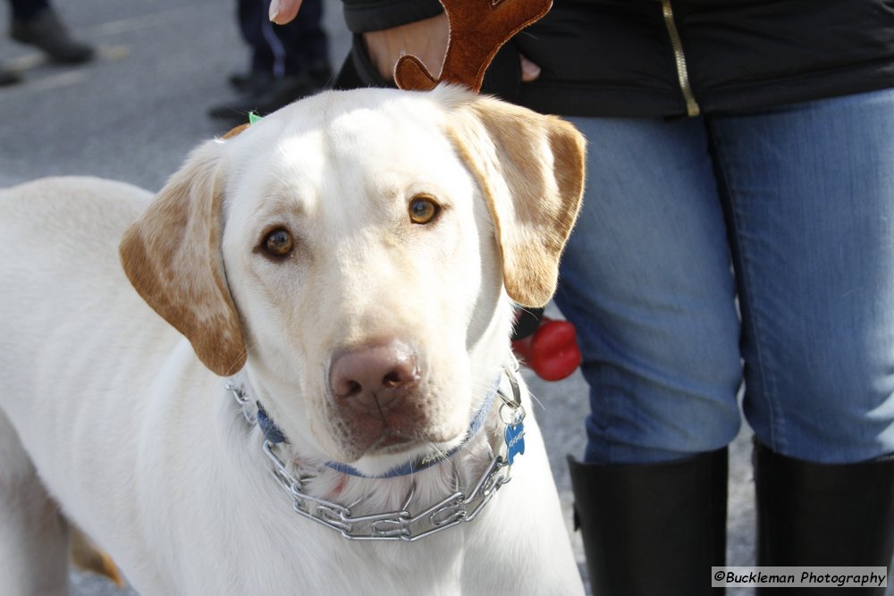 47th Annual Mayors Christmas Parade 2019\nPhotography by: Buckleman Photography\nall images ©2019 Buckleman Photography\nThe images displayed here are of low resolution;\nReprints available, please contact us:\ngerard@bucklemanphotography.com\n410.608.7990\nbucklemanphotography.com\n3453.CR2