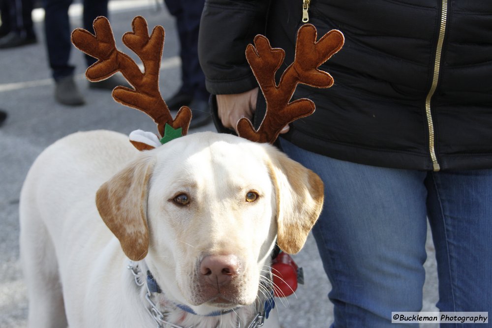 47th Annual Mayors Christmas Parade 2019\nPhotography by: Buckleman Photography\nall images ©2019 Buckleman Photography\nThe images displayed here are of low resolution;\nReprints available, please contact us:\ngerard@bucklemanphotography.com\n410.608.7990\nbucklemanphotography.com\n3454.CR2