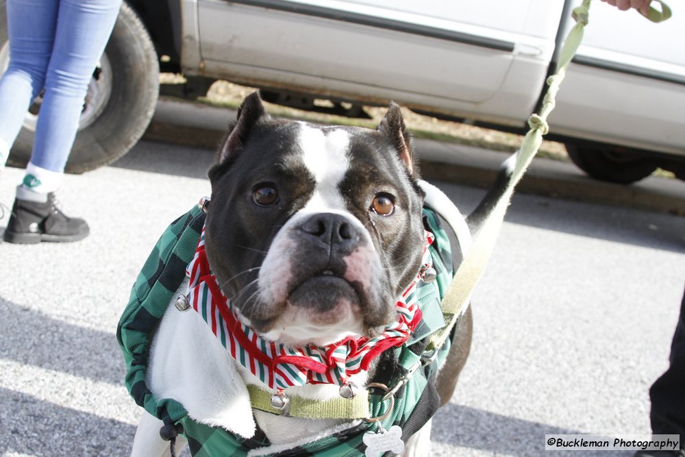 47th Annual Mayors Christmas Parade 2019\nPhotography by: Buckleman Photography\nall images ©2019 Buckleman Photography\nThe images displayed here are of low resolution;\nReprints available, please contact us:\ngerard@bucklemanphotography.com\n410.608.7990\nbucklemanphotography.com\n3473.CR2