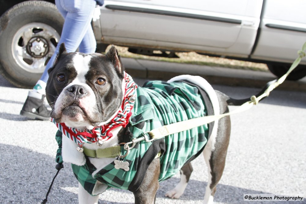 47th Annual Mayors Christmas Parade 2019\nPhotography by: Buckleman Photography\nall images ©2019 Buckleman Photography\nThe images displayed here are of low resolution;\nReprints available, please contact us:\ngerard@bucklemanphotography.com\n410.608.7990\nbucklemanphotography.com\n3475.CR2