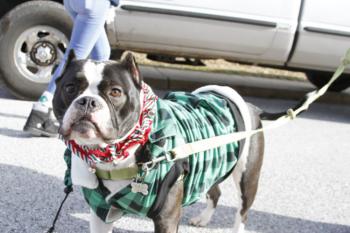 47th Annual Mayors Christmas Parade 2019\nPhotography by: Buckleman Photography\nall images ©2019 Buckleman Photography\nThe images displayed here are of low resolution;\nReprints available, please contact us:\ngerard@bucklemanphotography.com\n410.608.7990\nbucklemanphotography.com\n3475.CR2