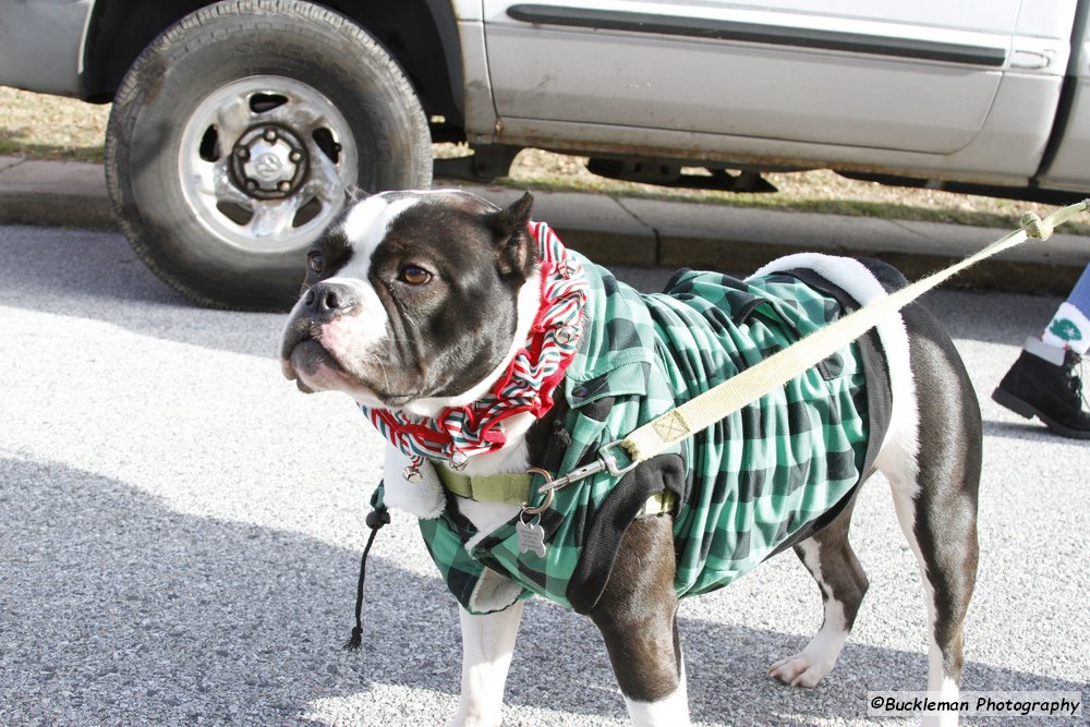 47th Annual Mayors Christmas Parade 2019\nPhotography by: Buckleman Photography\nall images ©2019 Buckleman Photography\nThe images displayed here are of low resolution;\nReprints available, please contact us:\ngerard@bucklemanphotography.com\n410.608.7990\nbucklemanphotography.com\n3478.CR2