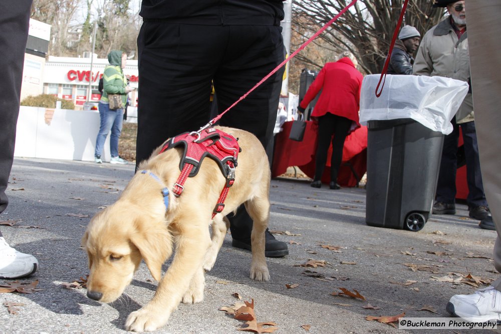 47th Annual Mayors Christmas Parade 2019\nPhotography by: Buckleman Photography\nall images ©2019 Buckleman Photography\nThe images displayed here are of low resolution;\nReprints available, please contact us:\ngerard@bucklemanphotography.com\n410.608.7990\nbucklemanphotography.com\n3521.CR2