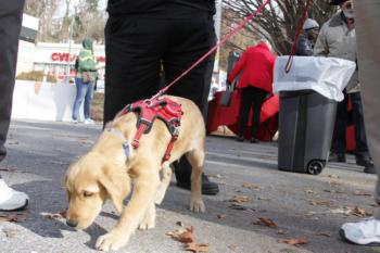 47th Annual Mayors Christmas Parade 2019\nPhotography by: Buckleman Photography\nall images ©2019 Buckleman Photography\nThe images displayed here are of low resolution;\nReprints available, please contact us:\ngerard@bucklemanphotography.com\n410.608.7990\nbucklemanphotography.com\n3521.CR2