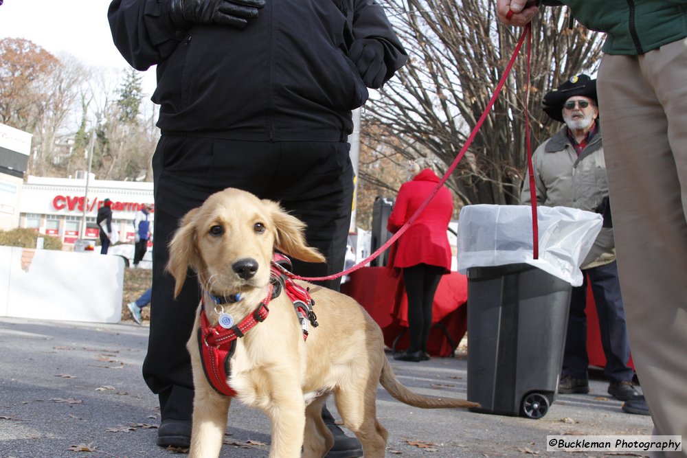 47th Annual Mayors Christmas Parade 2019\nPhotography by: Buckleman Photography\nall images ©2019 Buckleman Photography\nThe images displayed here are of low resolution;\nReprints available, please contact us:\ngerard@bucklemanphotography.com\n410.608.7990\nbucklemanphotography.com\n3522.CR2