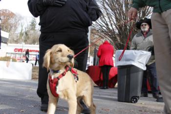 47th Annual Mayors Christmas Parade 2019\nPhotography by: Buckleman Photography\nall images ©2019 Buckleman Photography\nThe images displayed here are of low resolution;\nReprints available, please contact us:\ngerard@bucklemanphotography.com\n410.608.7990\nbucklemanphotography.com\n3523.CR2