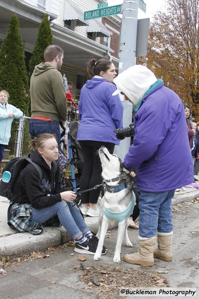 48th Annual Mayors Christmas Parade Division 1 - 2021\nPhotography by: Buckleman Photography\nall images ©2021 Buckleman Photography\nThe images displayed here are of low resolution;\nReprints available, please contact us:\ngerard@bucklemanphotography.com\n410.608.7990\nbucklemanphotography.com\n_MG_0139.CR2